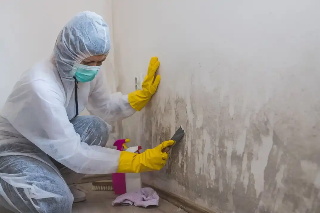 water damage restoration service Kelly Town-Rugby Heights